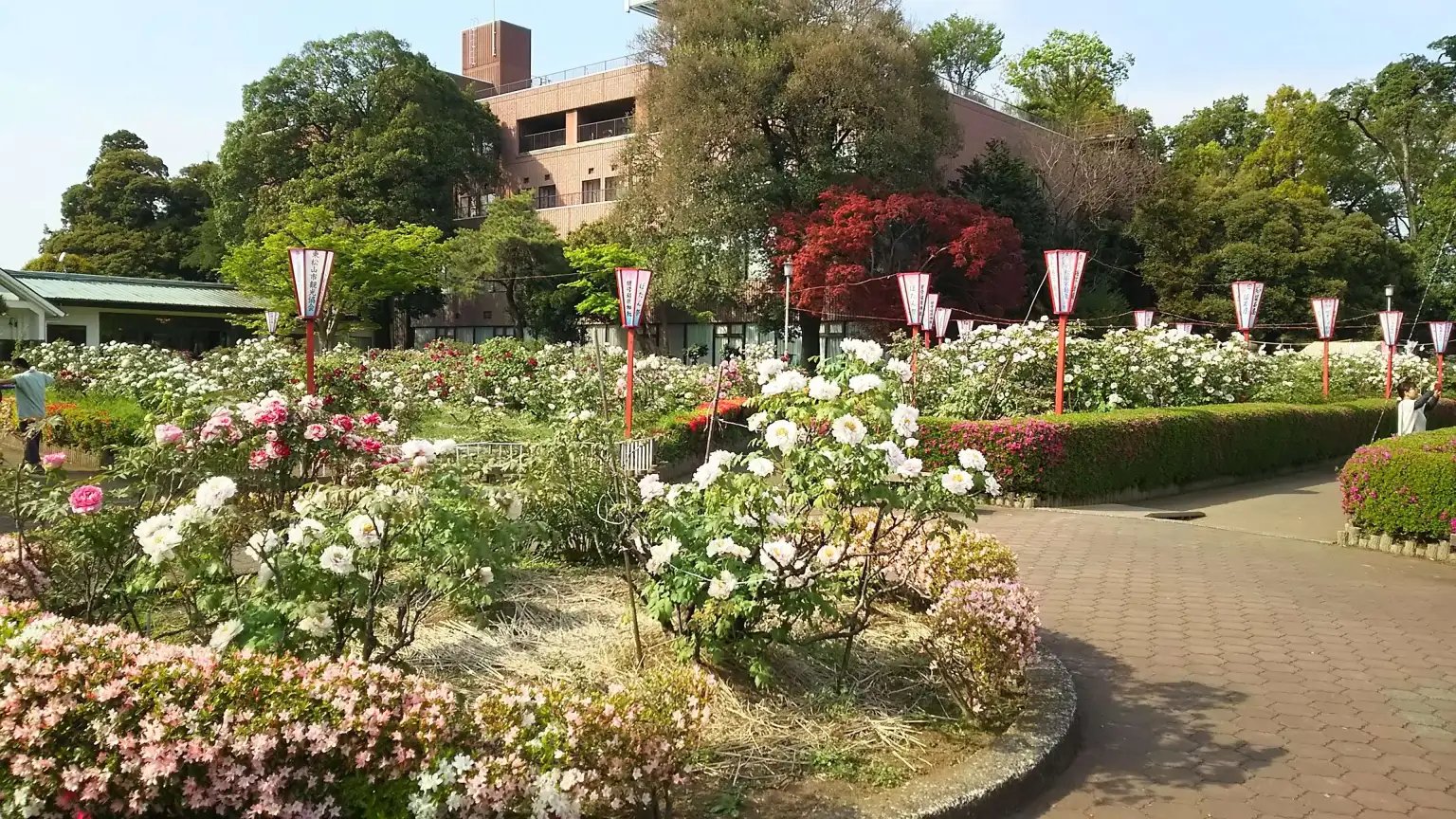 ⛩️ 화살 활 이나리 신사(야큐 이나리 진자) 이미지 9